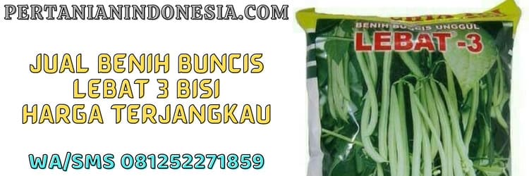 jual,benih,benih buncis lebat 3,lebat 3 bisi,pertanian indonesia,murah